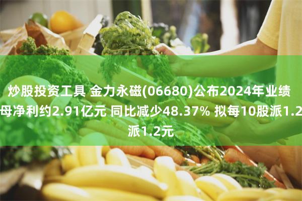炒股投资工具 金力永磁(06680)公布2024年业绩 归母净利约2.91亿元 同比减少48.37% 拟每10股派1.2元