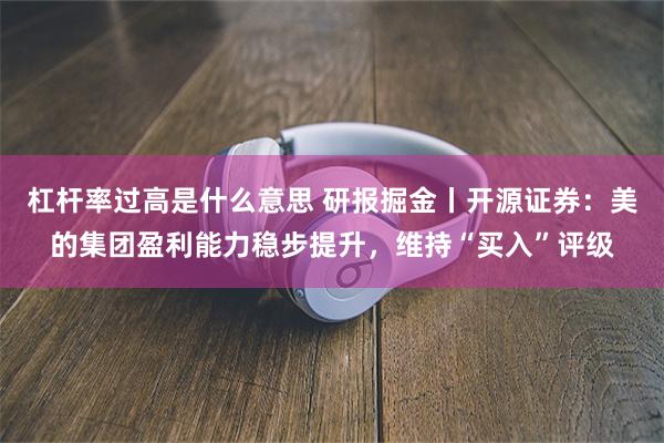 杠杆率过高是什么意思 研报掘金丨开源证券：美的集团盈利能力稳步提升，维持“买入”评级