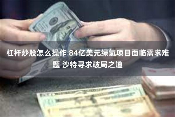 杠杆炒股怎么操作 84亿美元绿氢项目面临需求难题 沙特寻求破局之道