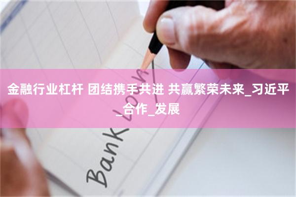 金融行业杠杆 团结携手共进 共赢繁荣未来_习近平_合作_发展