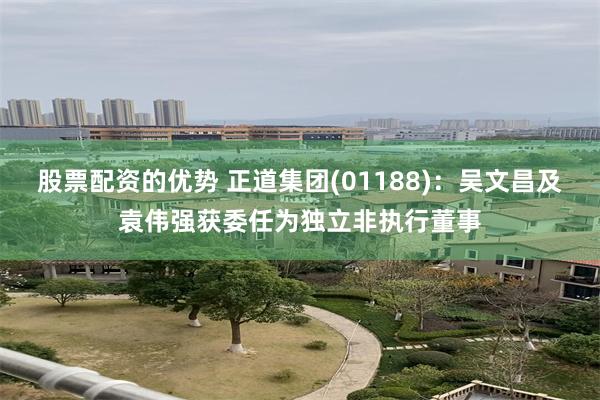 股票配资的优势 正道集团(01188)：吴文昌及袁伟强获委任为独立非执行董事