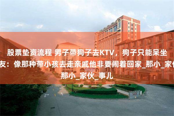股票垫资流程 男子带狗子去KTV，狗子只能呆坐着。网友：像那种带小孩去走亲戚他非要闹着回家_那小_家伙_事儿
