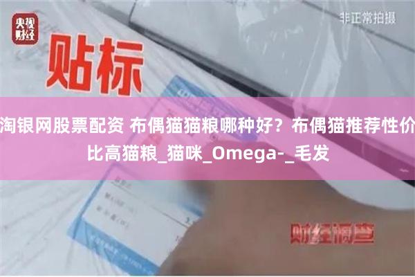 淘银网股票配资 布偶猫猫粮哪种好？布偶猫推荐性价比高猫粮_猫咪_Omega-_毛发