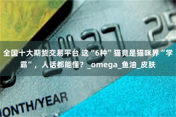 全国十大期货交易平台 这“6种”猫竟是猫咪界“学霸”，人话都能懂？_omega_鱼油_皮肤