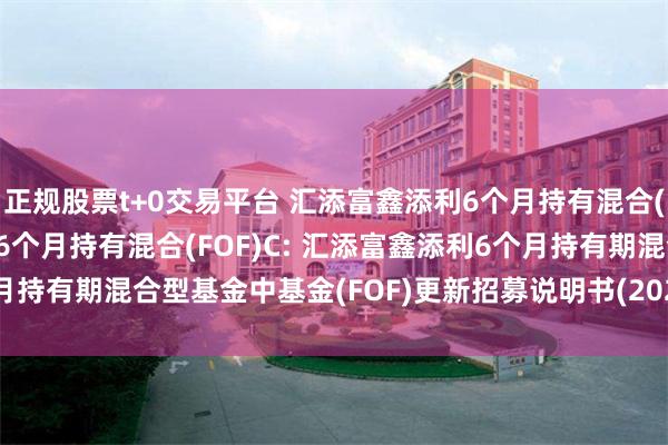 正规股票t+0交易平台 汇添富鑫添利6个月持有混合(FOF)A,汇添富鑫添利6个月持有混合(FOF)C: 汇添富鑫添利6个月持有期混合型基金中基金(FOF)更新招募说明书(2025年6月11日更新)