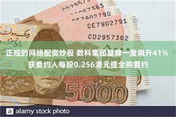 正规的网络配资炒股 数科集团复牌一度飙升41% 获要约人每股0.256港元提全购要约