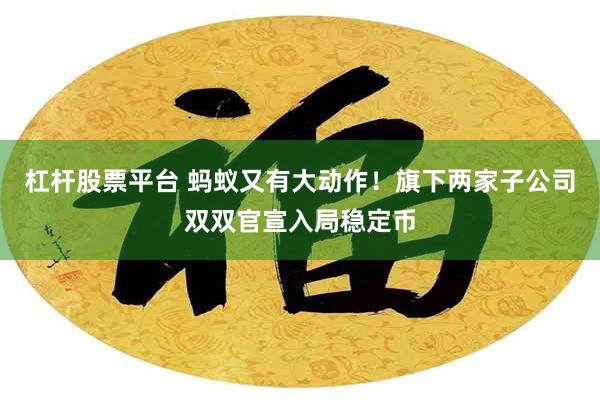 杠杆股票平台 蚂蚁又有大动作！旗下两家子公司双双官宣入局稳定币