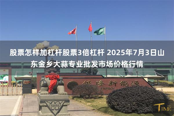 股票怎样加杠杆股票3倍杠杆 2025年7月3日山东金乡大蒜专业批发市场价格行情