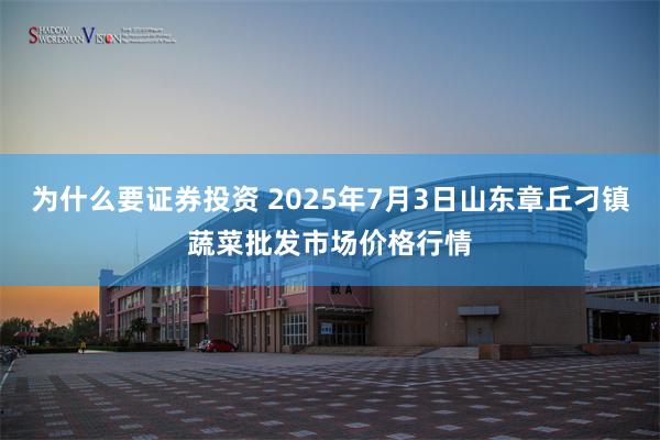 为什么要证券投资 2025年7月3日山东章丘刁镇蔬菜批发市场价格行情
