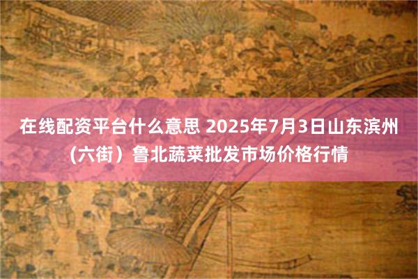 在线配资平台什么意思 2025年7月3日山东滨州(六街)鲁北蔬菜批发市场价格行情