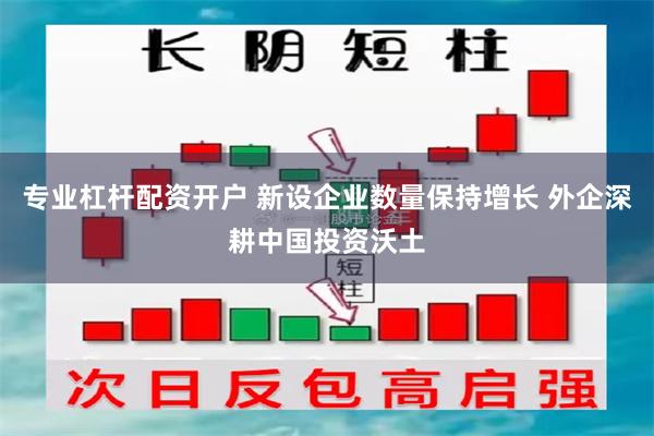 专业杠杆配资开户 新设企业数量保持增长 外企深耕中国投资沃土