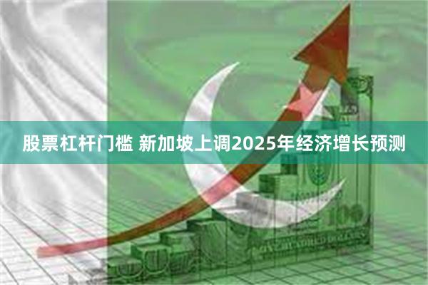股票杠杆门槛 新加坡上调2025年经济增长预测