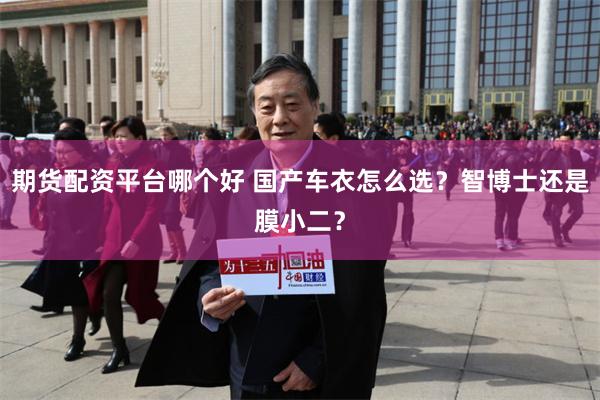 期货配资平台哪个好 国产车衣怎么选？智博士还是膜小二？