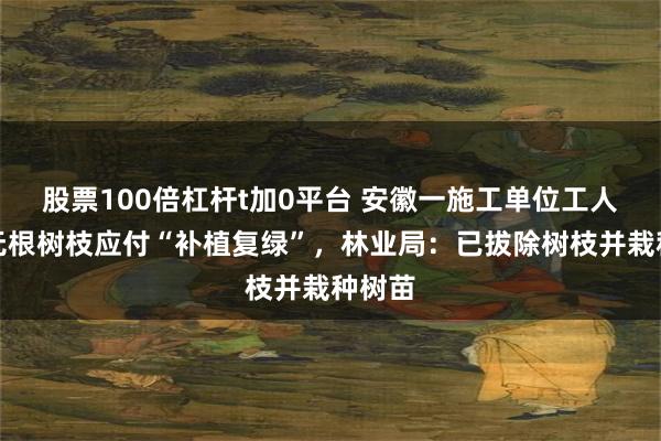 股票100倍杠杆t加0平台 安徽一施工单位工人插种无根树枝应付“补植复绿”,林业局:已拔除树枝并栽种树苗