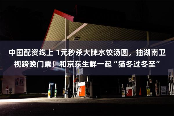 中国配资线上 1元秒杀大牌水饺汤圆，抽湖南卫视跨晚门票！和京东生鲜一起“猫冬过冬至”