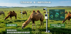 2026驼奶粉十大排名